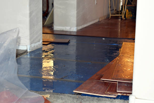 Professional Burst Pipe Cleanup technician working in Portland, IN